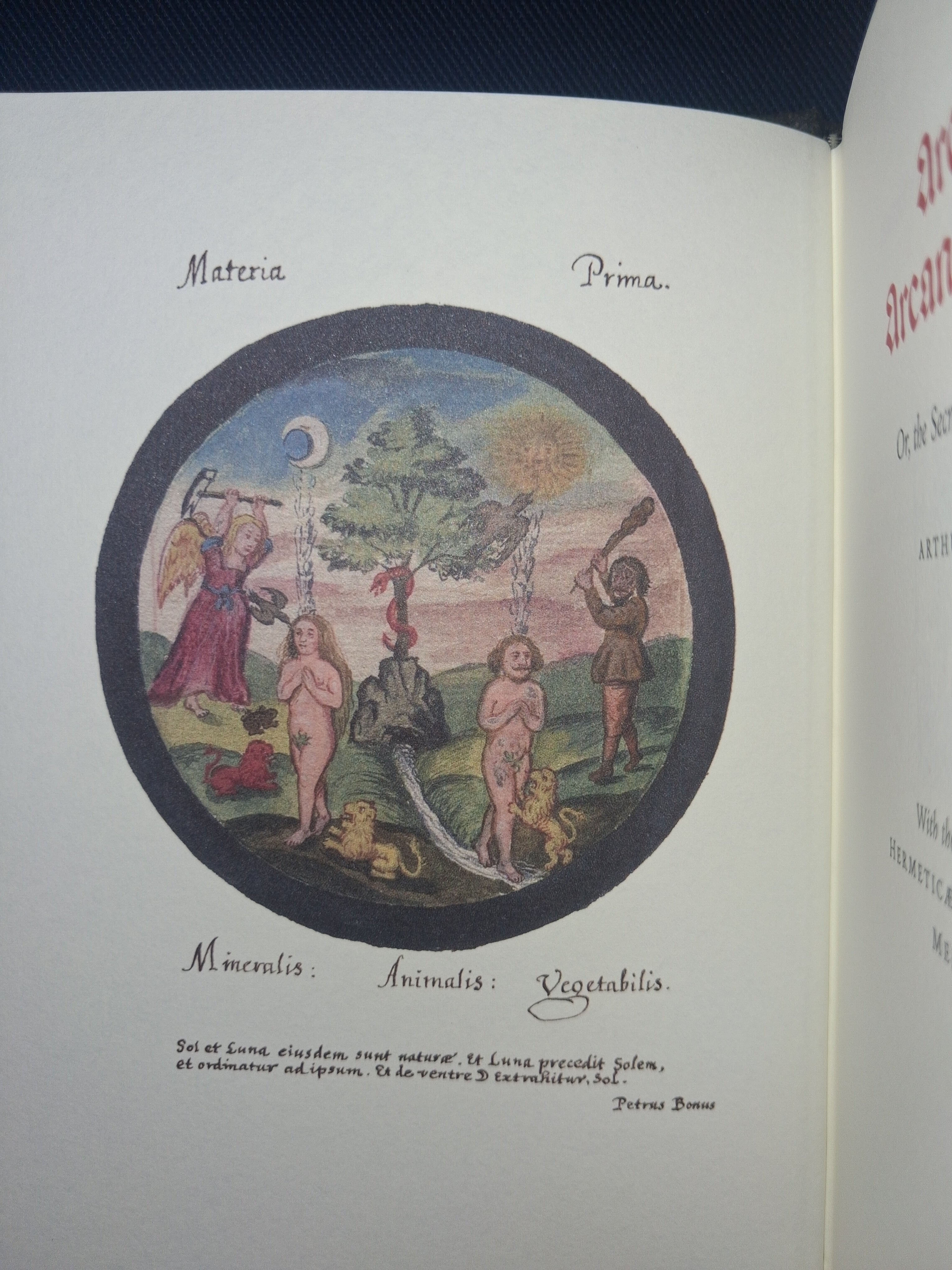 Arca Arcanorum (Classic Edition) by Arthur Dee – Hermetic Alchemy & Philosopher’s Stone