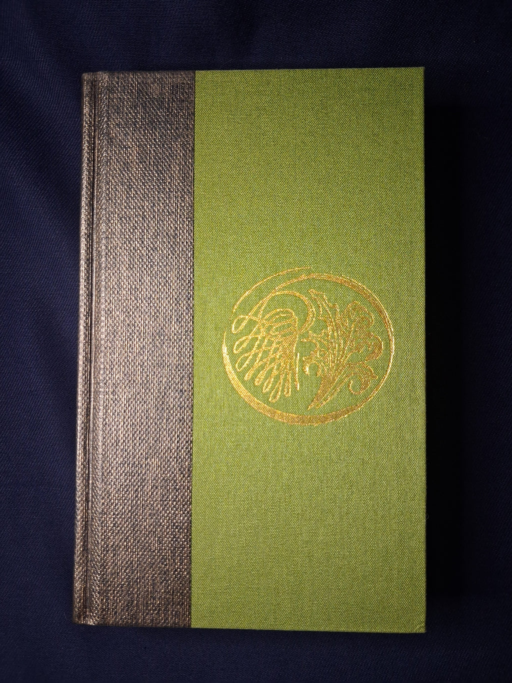 The Dancing Sorcerer Hardcover -  P.T. Mistlberger