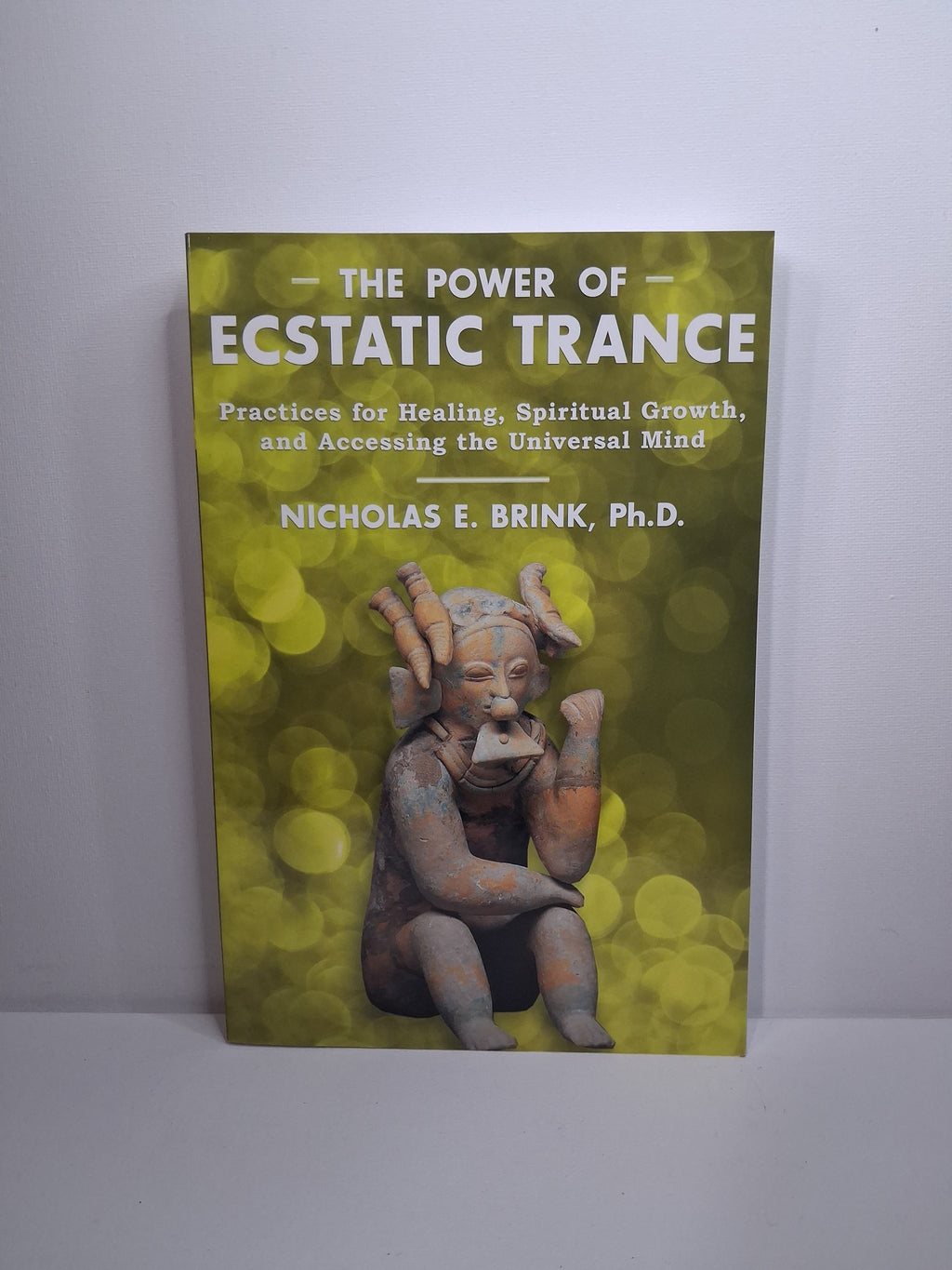 The Power Of Ecstatic Trance - Nicholas E. Brink