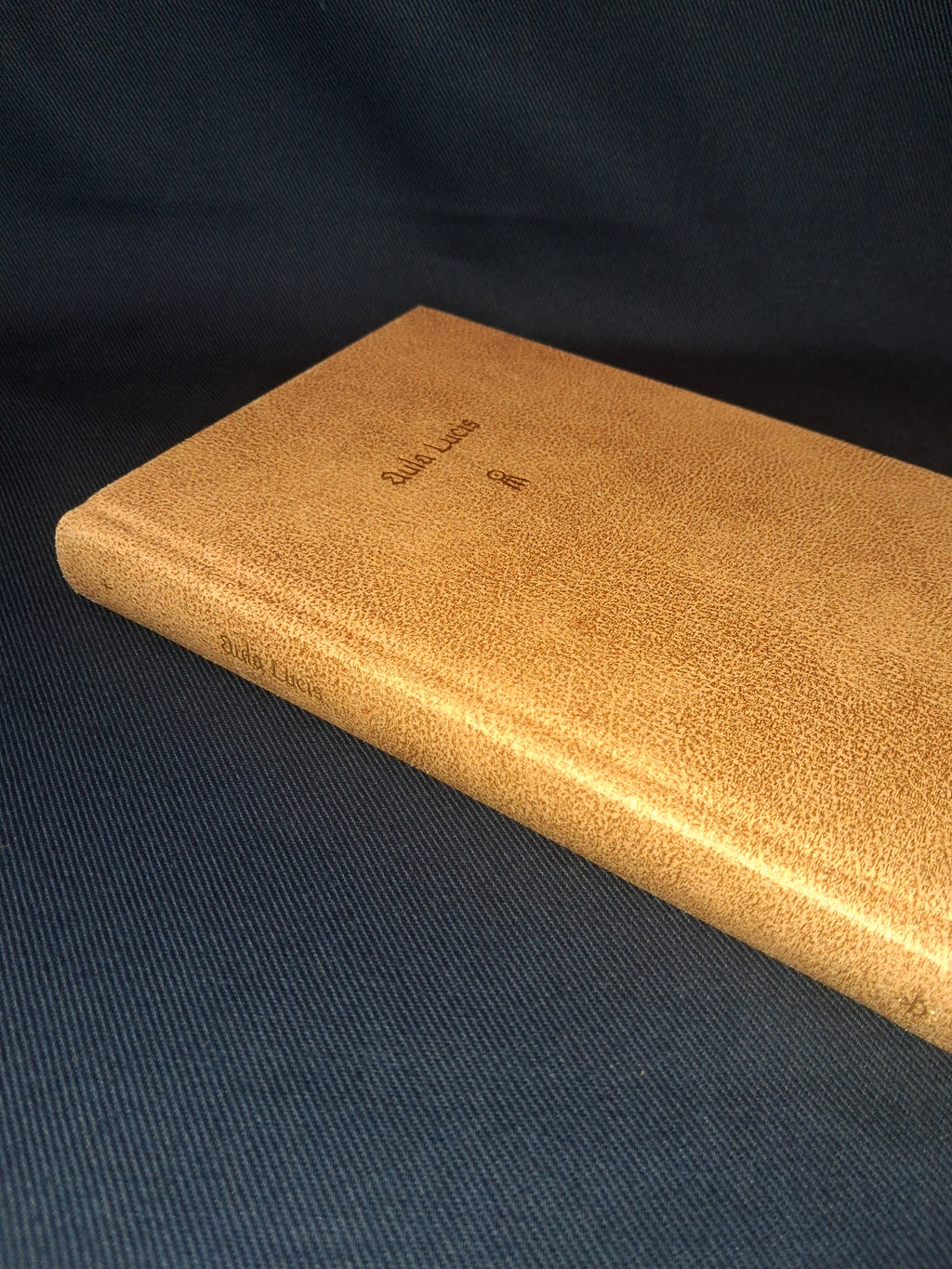 Aula Lucis, or The House of Light (Classic Edition) by Thomas Vaughan