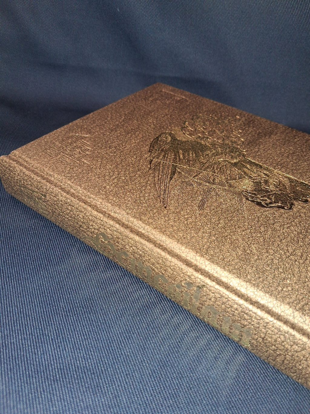 Semesilam: The Eternal Sun by José Gabriel Alegría Sabogal (Collector's Edition) – Gnostic Art, Sacred Anatomy & Solar Mysticism