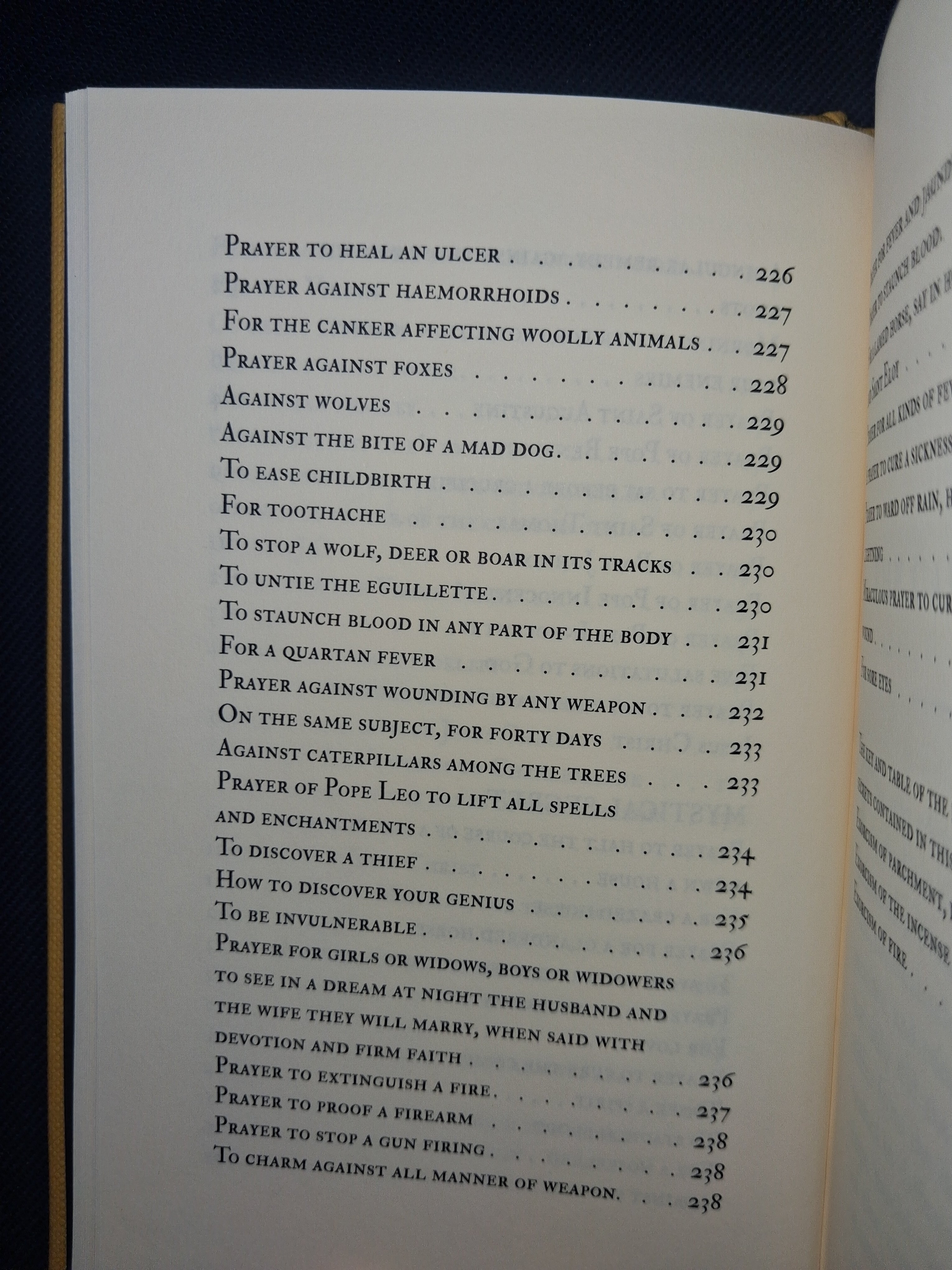 Enchiridion Leonis Papae — Translated, Edited & Introduced by Paul Summers Young