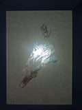 Goêtic Atavisms - By Frater Acher & Craig Slee