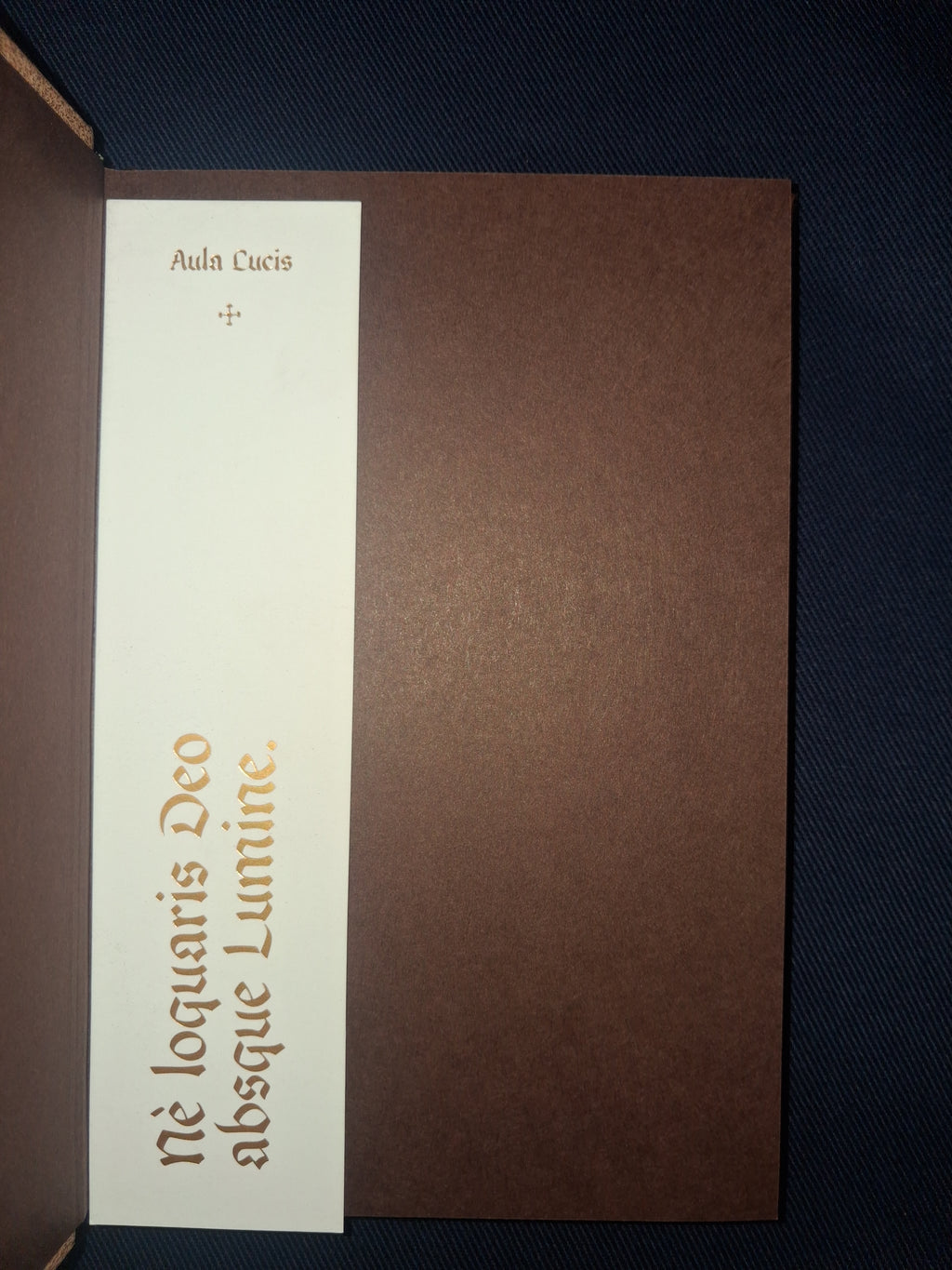Aula Lucis, or The House of Light (Classic Edition) by Thomas Vaughan